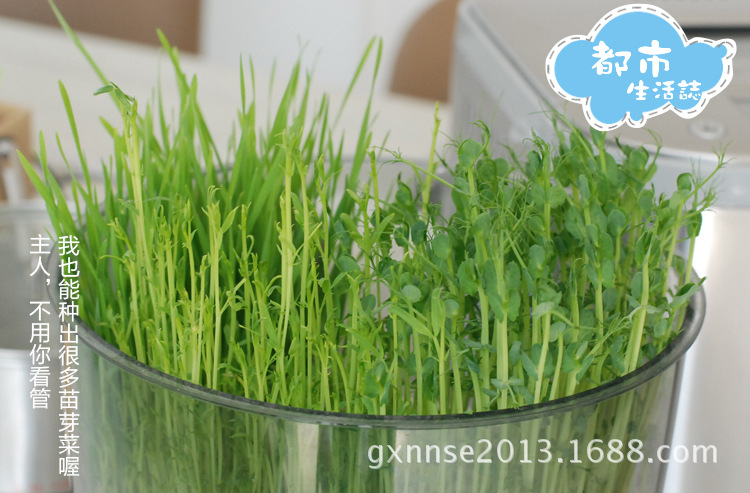 “beat365”嗨学网遭3·15点名,多学员起诉,退费直通车也是坑?(图1) “beat365”嗨学网遭3·15点名,多学员起诉,退费直通车也是坑?(图1)