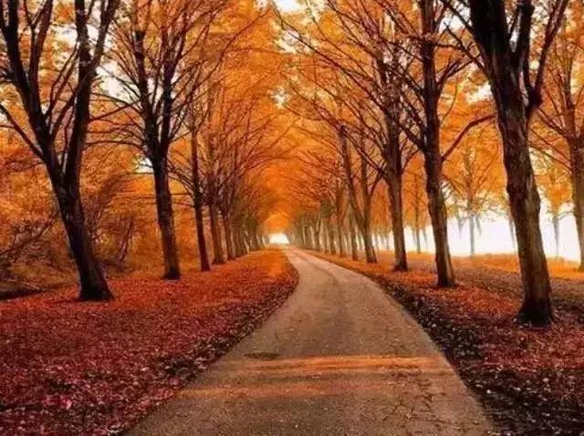 ‘beat365官网中文’接管组已进场!新华信托新时代信托被接管 多位监管领导亲自上阵(图2) beat365官网中文