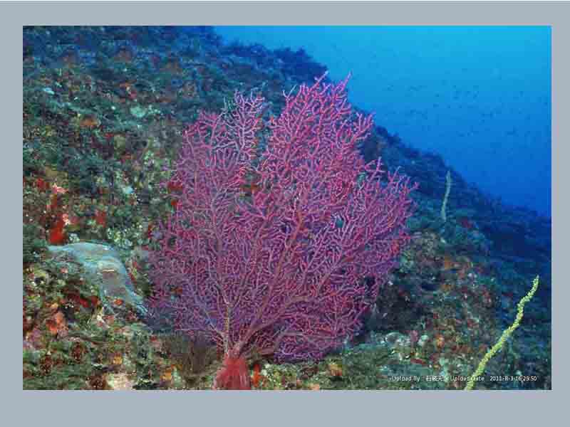 beat365官网中文：贵州一官员被双开：不如实报告其违规插手和经营茅台酒等(图1)