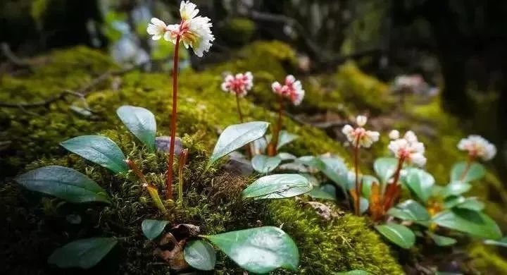 beat365-“咬定”价值股 部分机构近期已加仓(图2) beat365-“咬定”价值股 部分机构近期已加仓(图2)