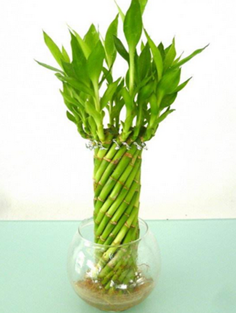 年中经济观察|提速数字化！细数中国经济“云”上新看点-beat365官网中文(图1)