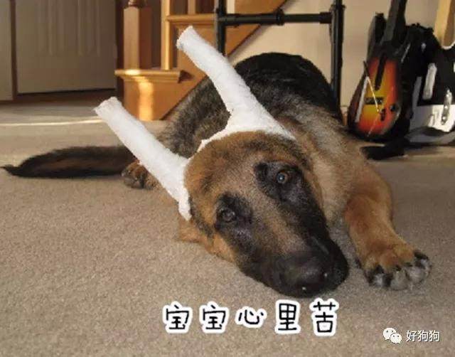 二季报“赚钱效应”引发涟漪：消费、科技和医药王者安在“beat365官网中文”(图1)